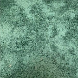 Meet your Posher, Leeanna